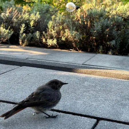 Zaczarowane Wzgorze - W Beskidach Дом отдыха