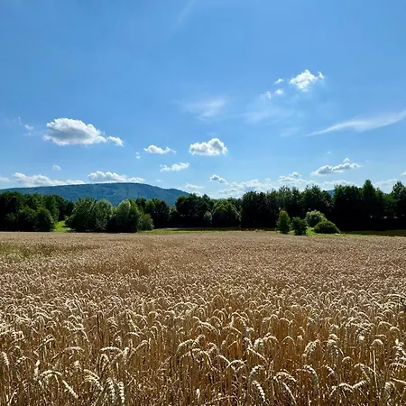 Dom wakacyjny Zaczarowane Wzgorze - W Beskidach