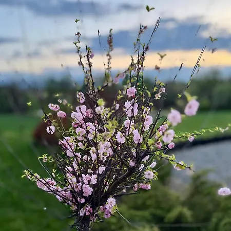 Vakantiehuis Zaczarowane Wzgorze - W Beskidach