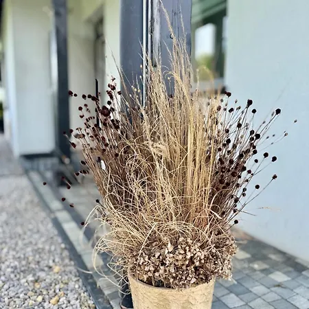 Zaczarowane Wzgorze - W Beskidach Vakantiehuis Czaniec