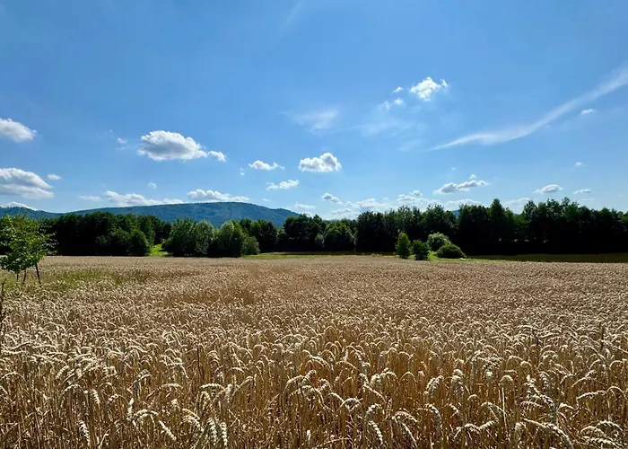 Casa de Férias Zaczarowane Wzgórze - W Beskidach