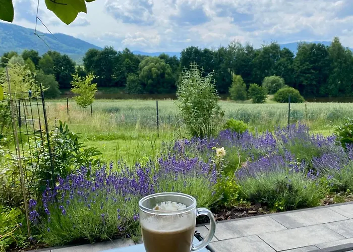 Zaczarowane Wzgórze - W Beskidach *