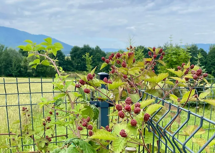 Zaczarowane Wzgorze - W Beskidach