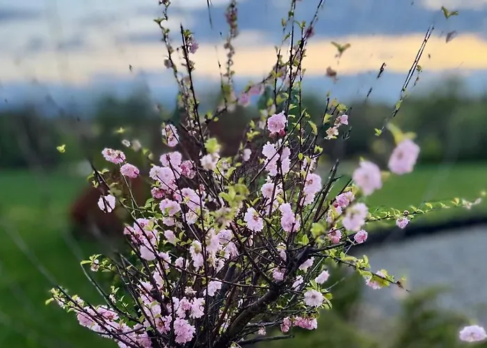 Casa de Férias Zaczarowane Wzgórze - W Beskidach