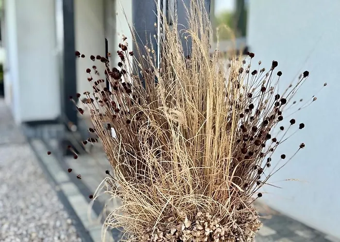 Zaczarowane Wzgorze - W Beskidach בית נופש Czaniec